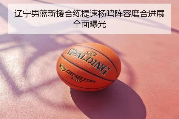辽宁男篮新援合练提速杨鸣阵容磨合进展全面曝光